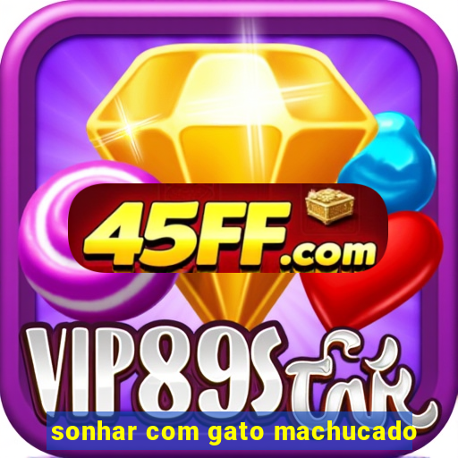 sonhar com gato machucado